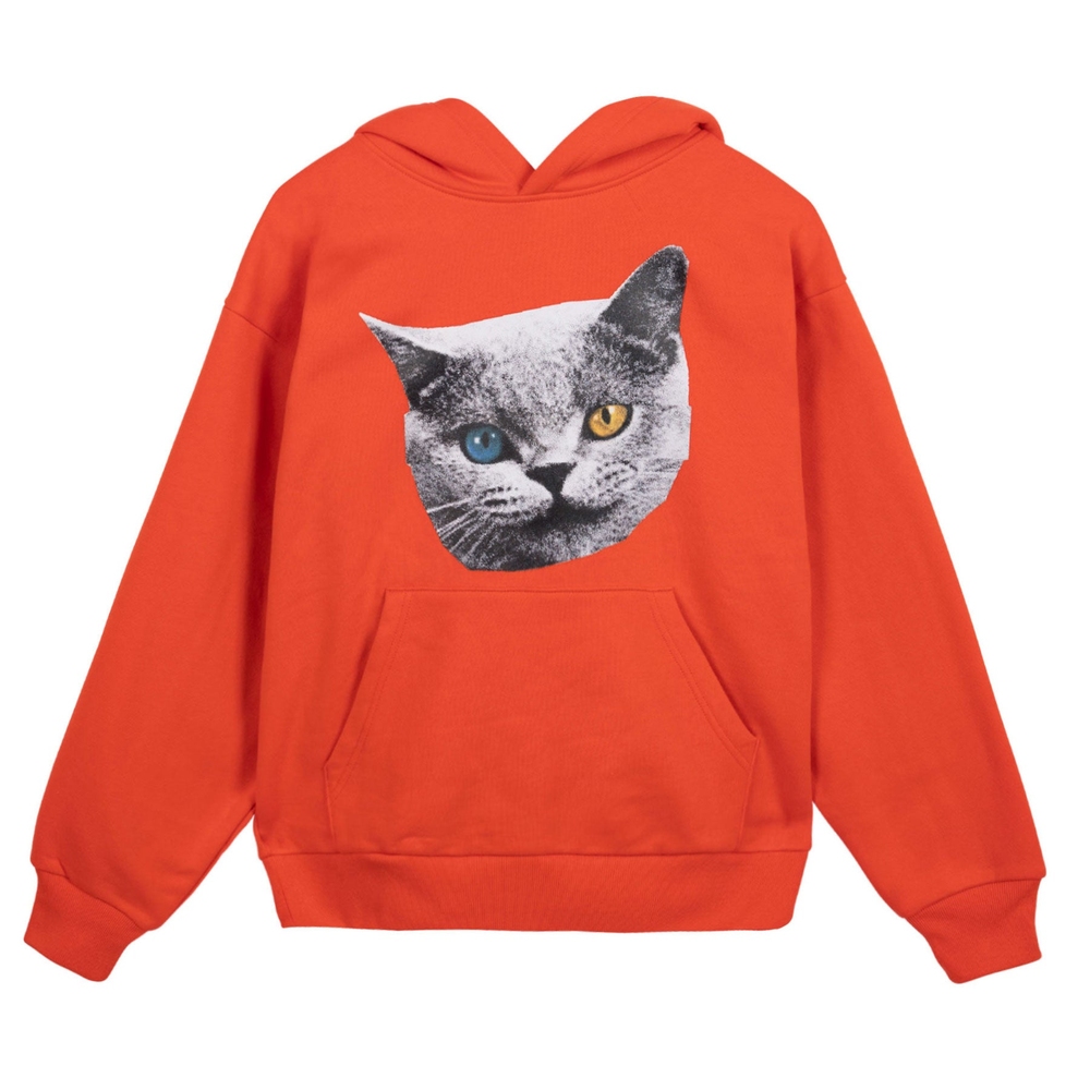 SHARK CAT HOODIE Red