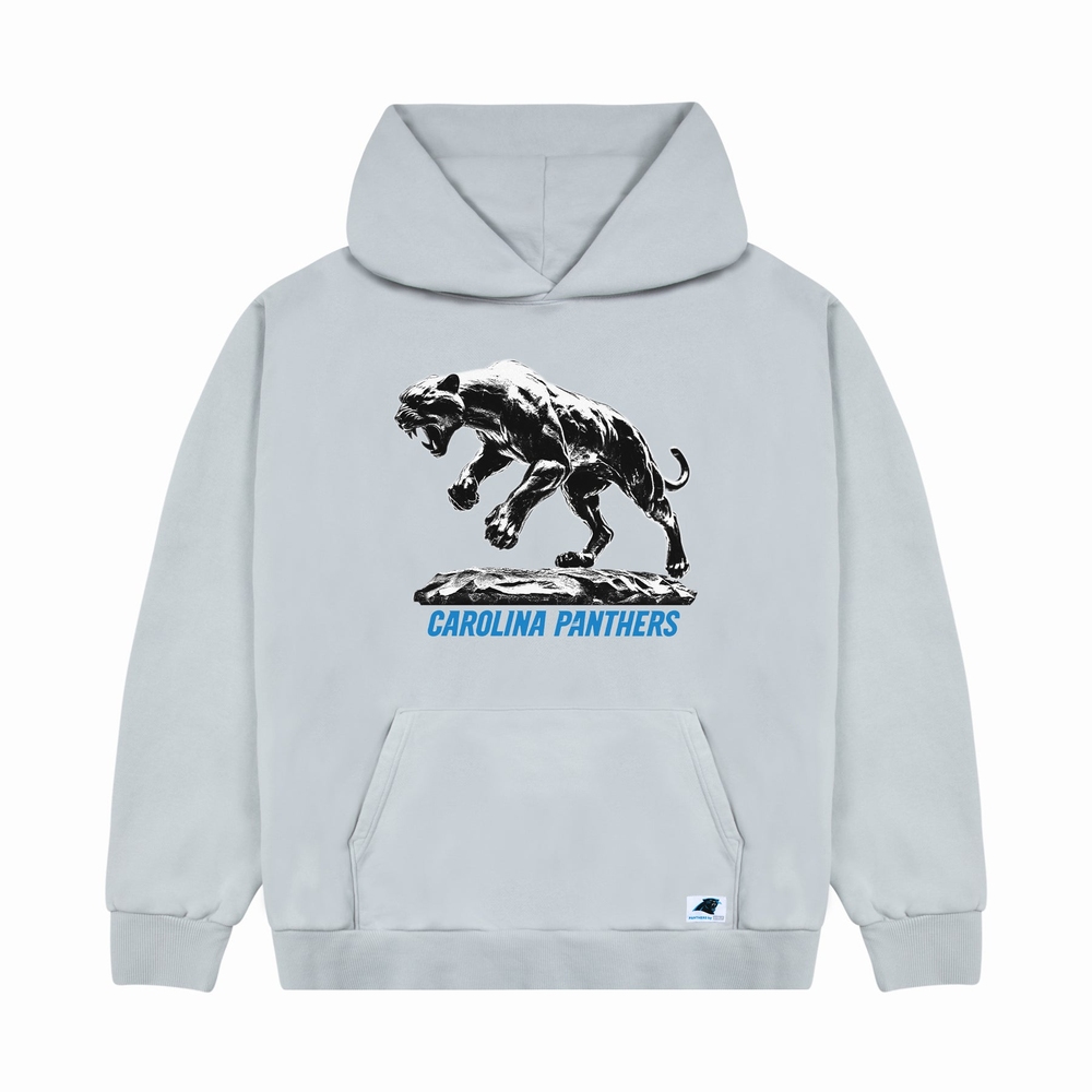 PANTHERS CUTOUT HOODIE Mirage Grey